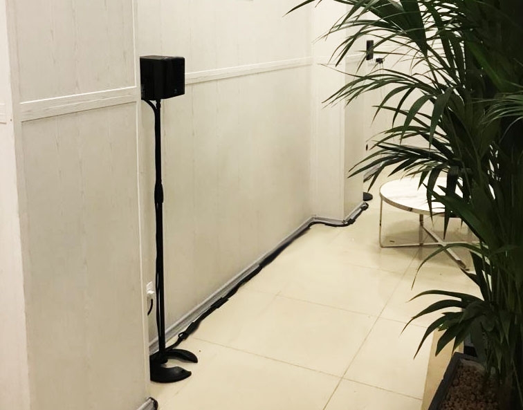 Аренда звука пол киловатта.