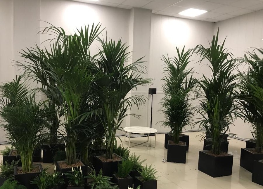 Аренда маленького комплекта звука.