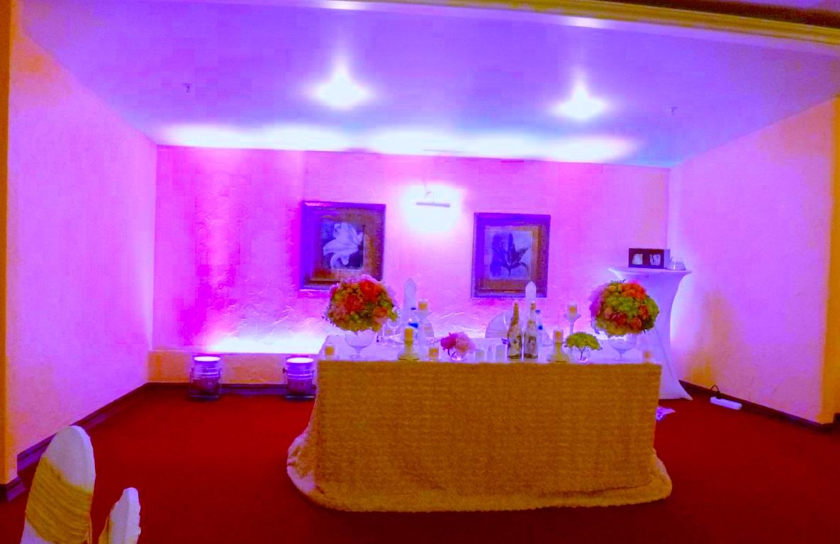 Бюджетная Led подсветка задника за молодыми на свадьбе