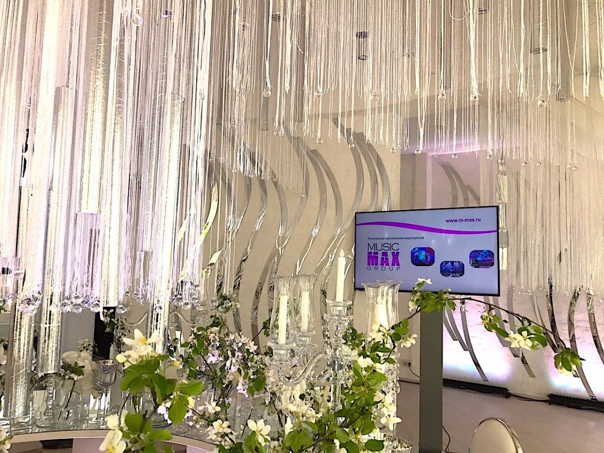 Аренда плазмы на свадьбу